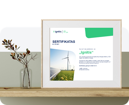 Žalia energija brandbook